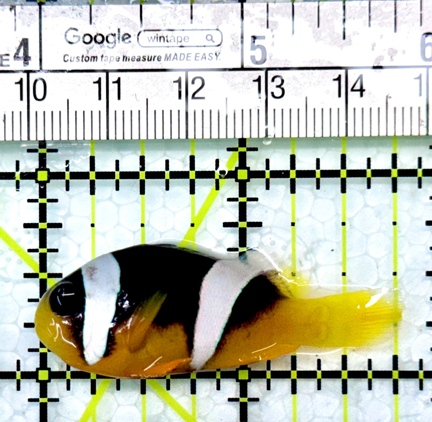 Sebae Clownfish SC120201 WYSIWYG Size: M 1.75"