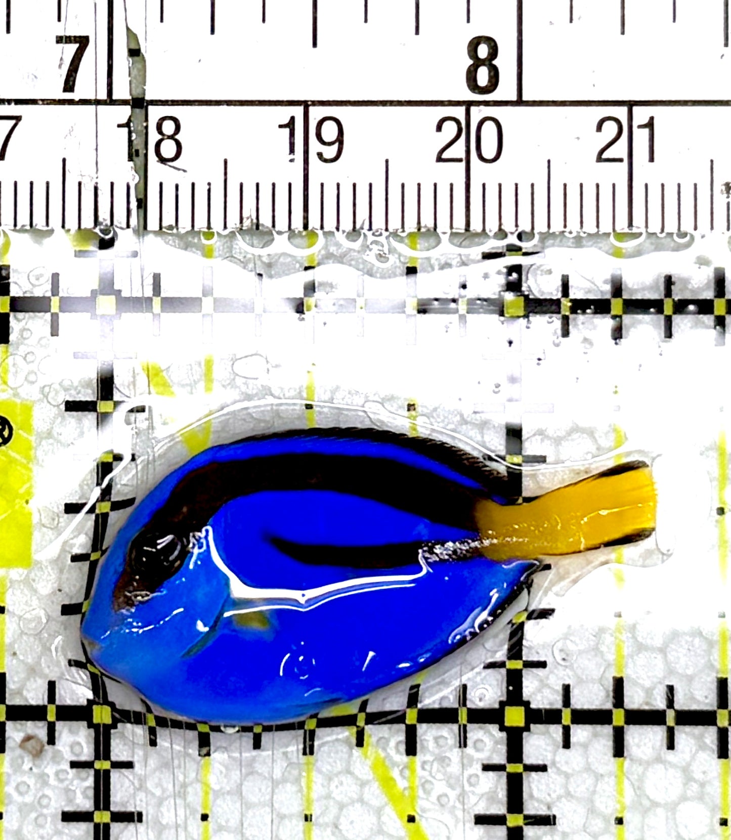 Blue Hippo Tang BHT060702 WYSIWYG Size: Tiny 1.5" approx