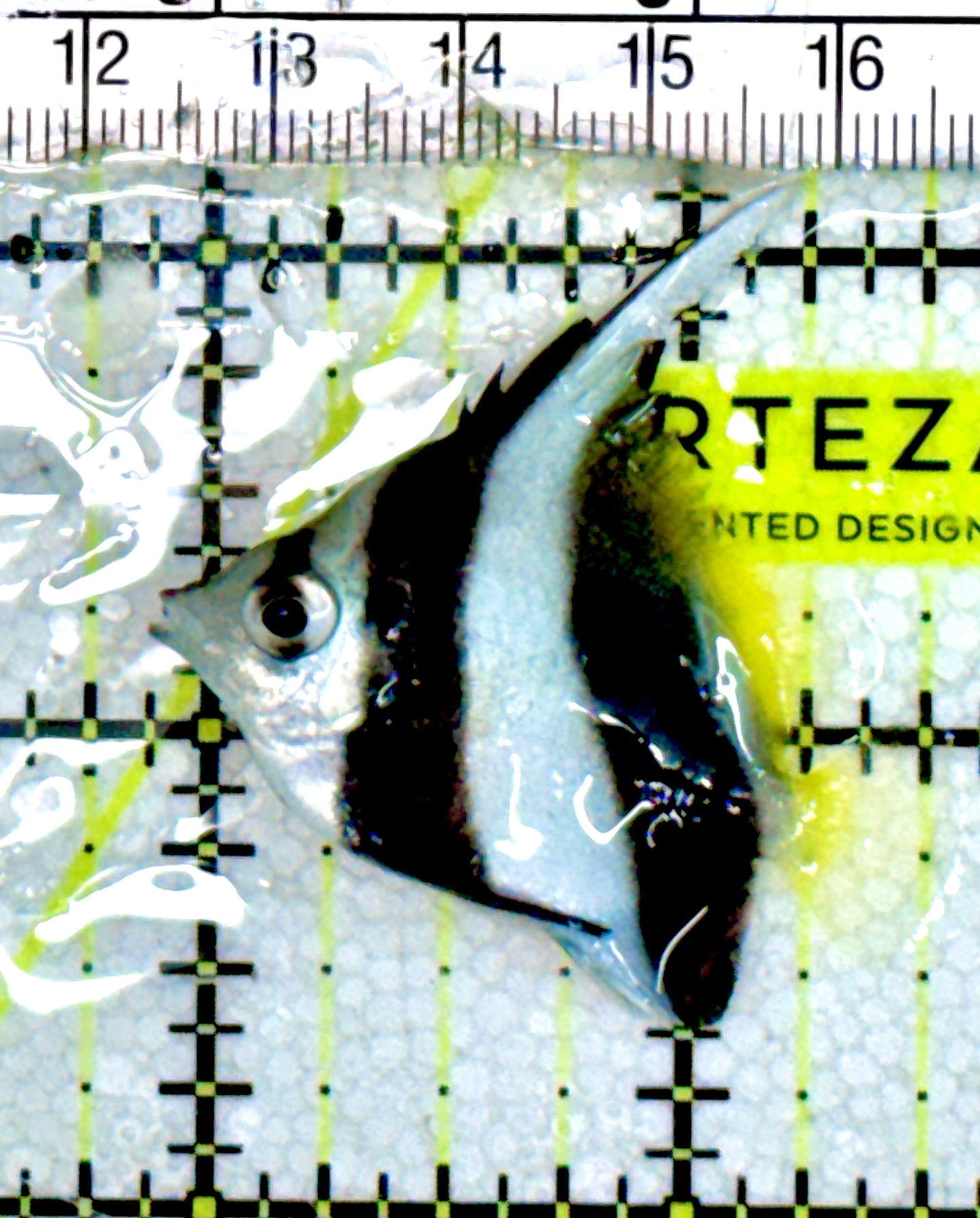 Heniochus Butterflyfish HB060601 WYSIWYG Size: S 1.5" approx