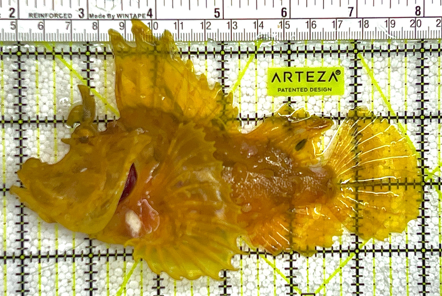 Golden Weedy Rhinopias Fish GWRF122803 WYSIWYG Size: L 6" approx