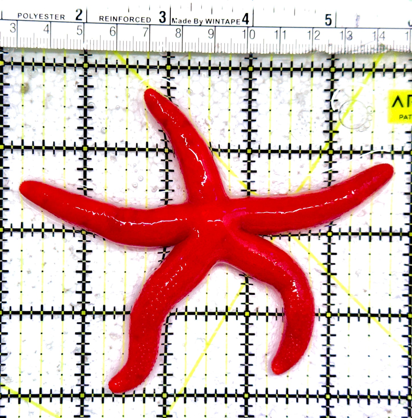 Red Orange Linckia Starfish A grade (Maldives) ROLS042603 WYSIWYG Size: Large 4.5"