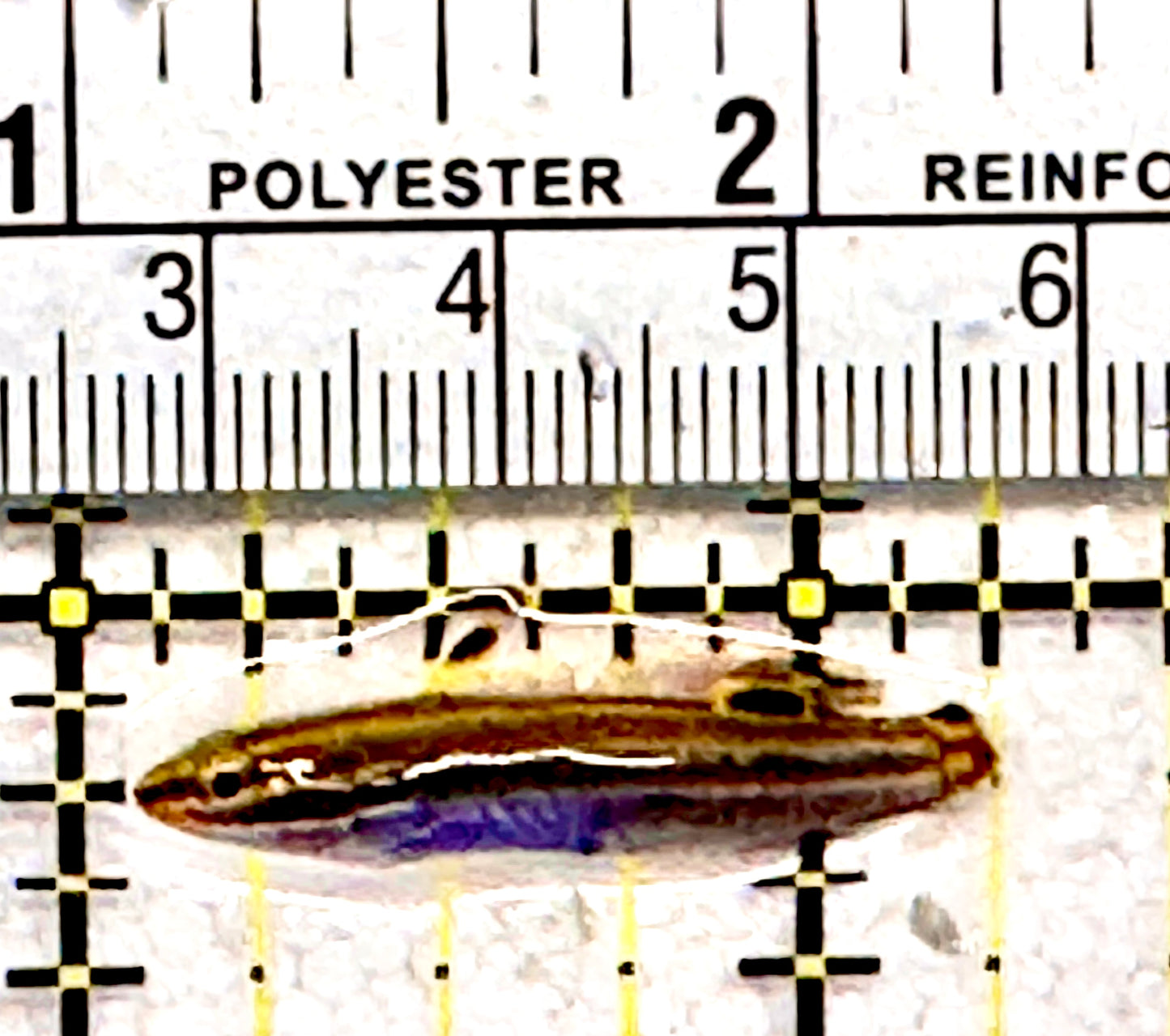 Hector's Goby HG062801 WYSIWYG Size: 1.25"