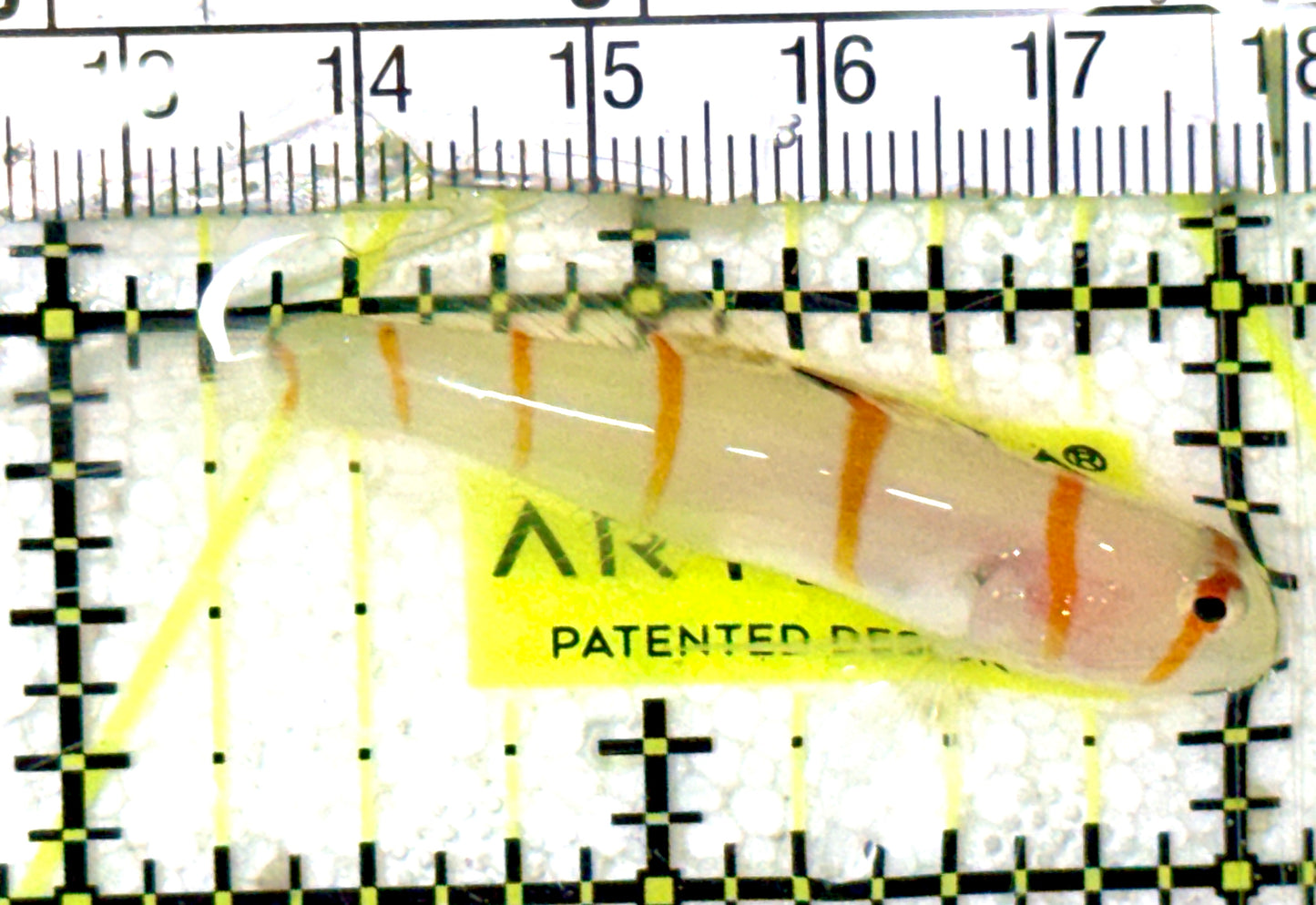Randall's Goby RG052401 WYSIWYG Size: S 2" approx