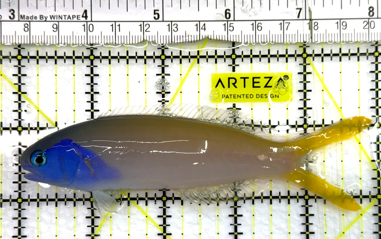 Blueface Tilefish BT082602 WYSIWYG Size: XL 5" approx