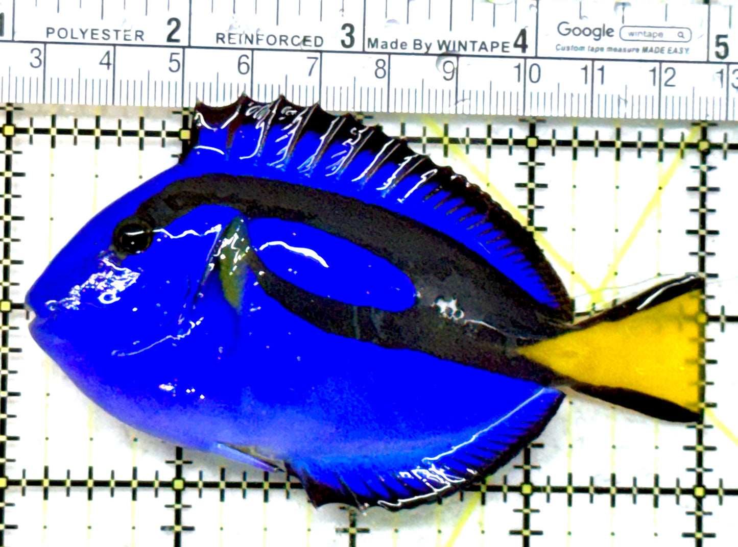 Blue Hippo Tang BHT082201 WYSIWYG Size: M 4" approx