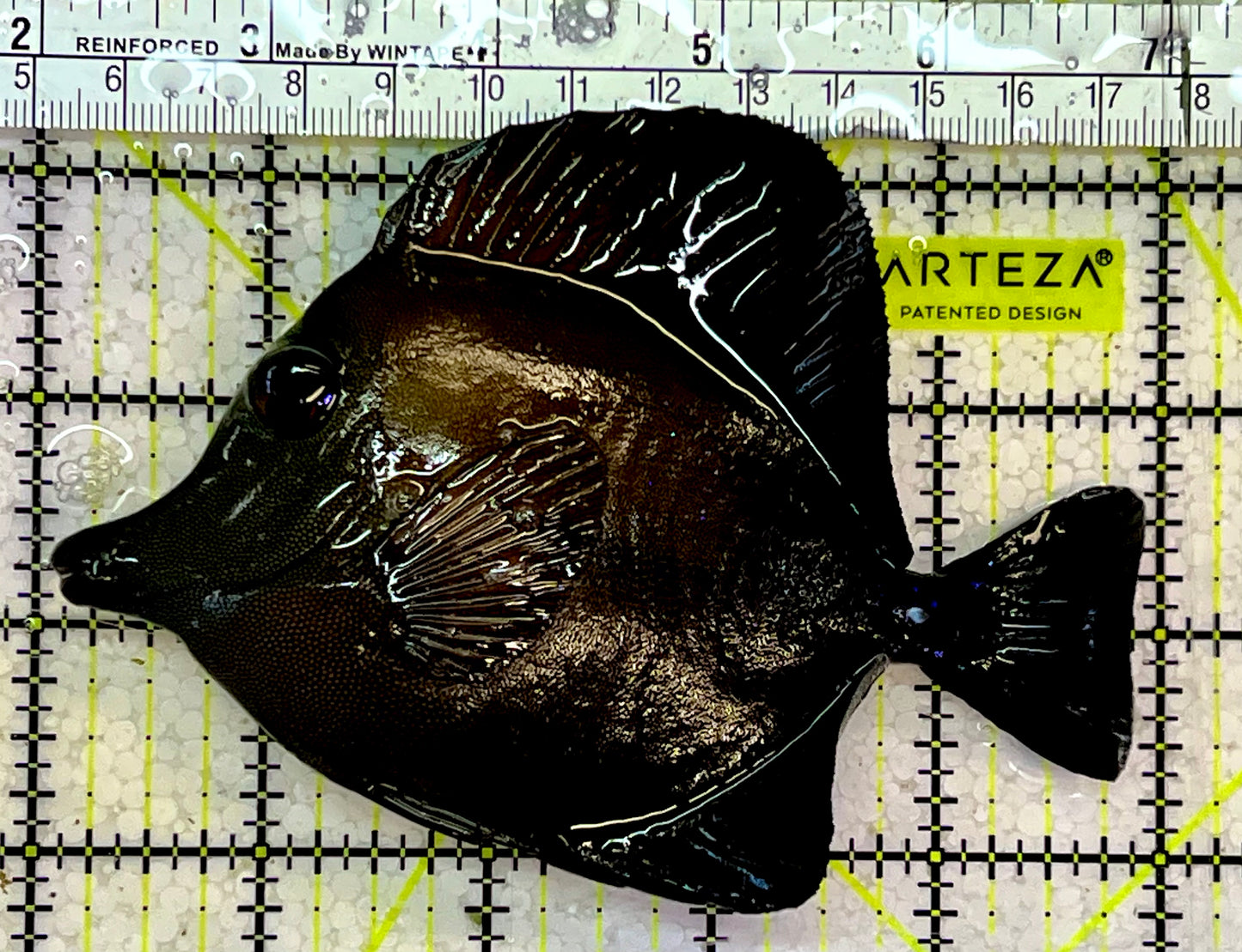 Scopas Tang ST051501 WYSIWYG Size: L 5"