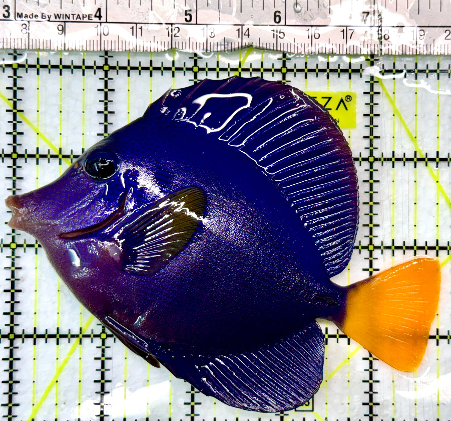 Purple Tang PT083101 WYSIWYG Size: L 4.75"