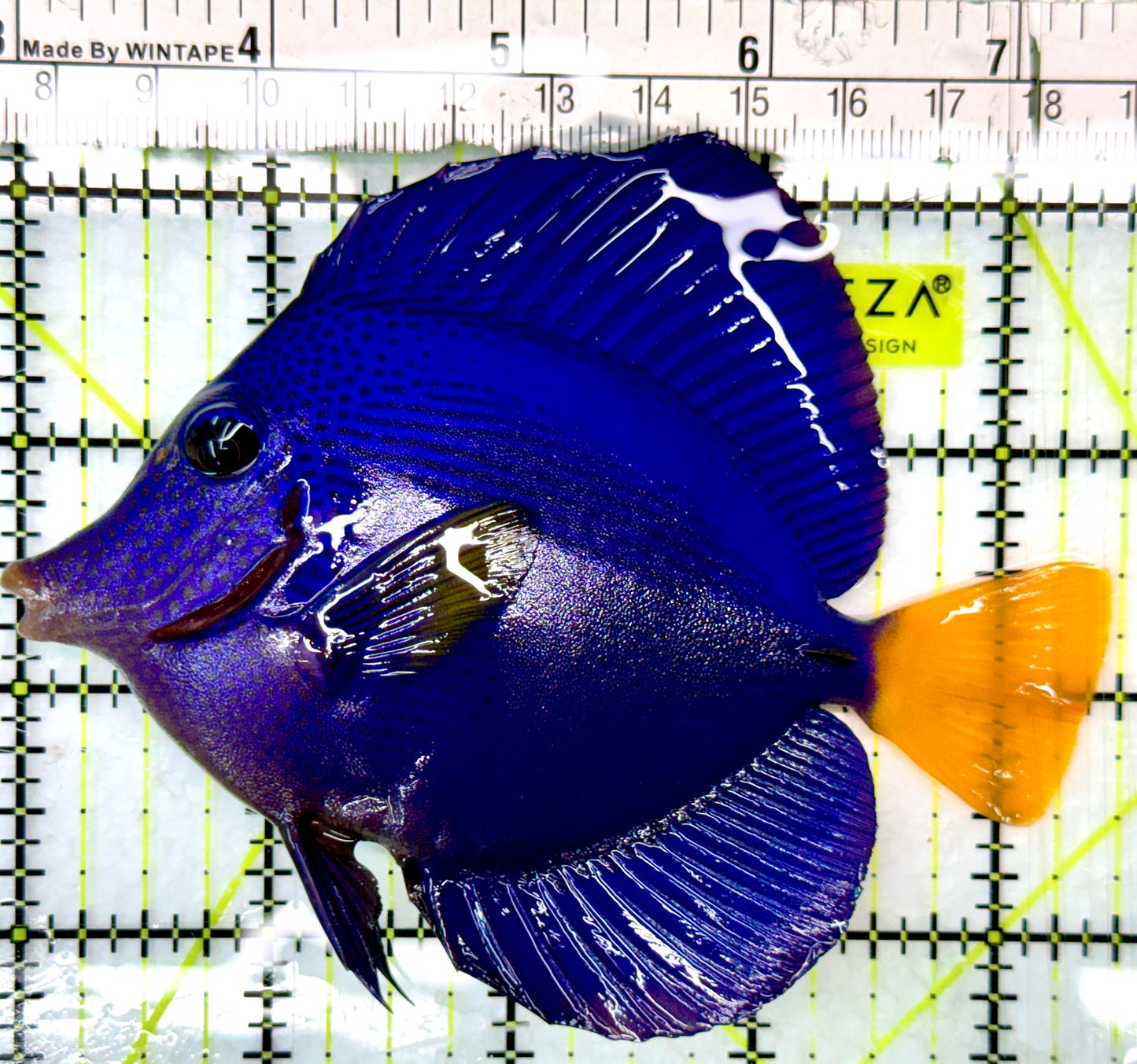 Purple Tang PT083103 WYSIWYG Size: L 4.5"
