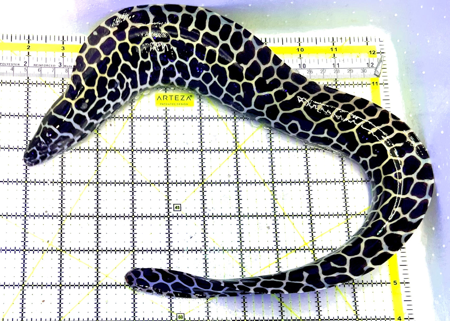 Tessellata Eel TE062701 WYSIWYG Size: XL 18" approx (Thick Diameter)