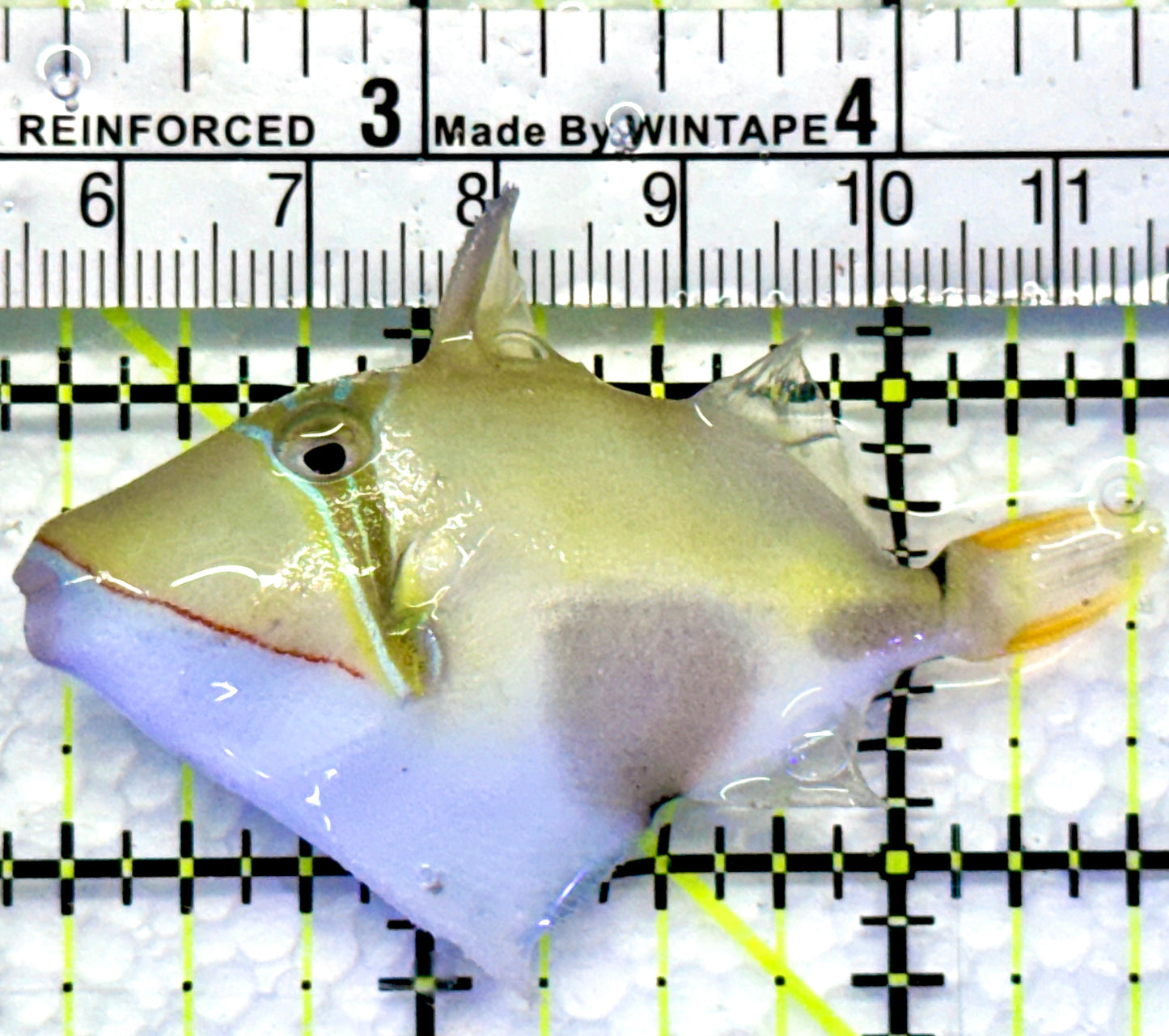 Bursa Triggerfish BT083102 WYSIWYG Size: M 2.25"