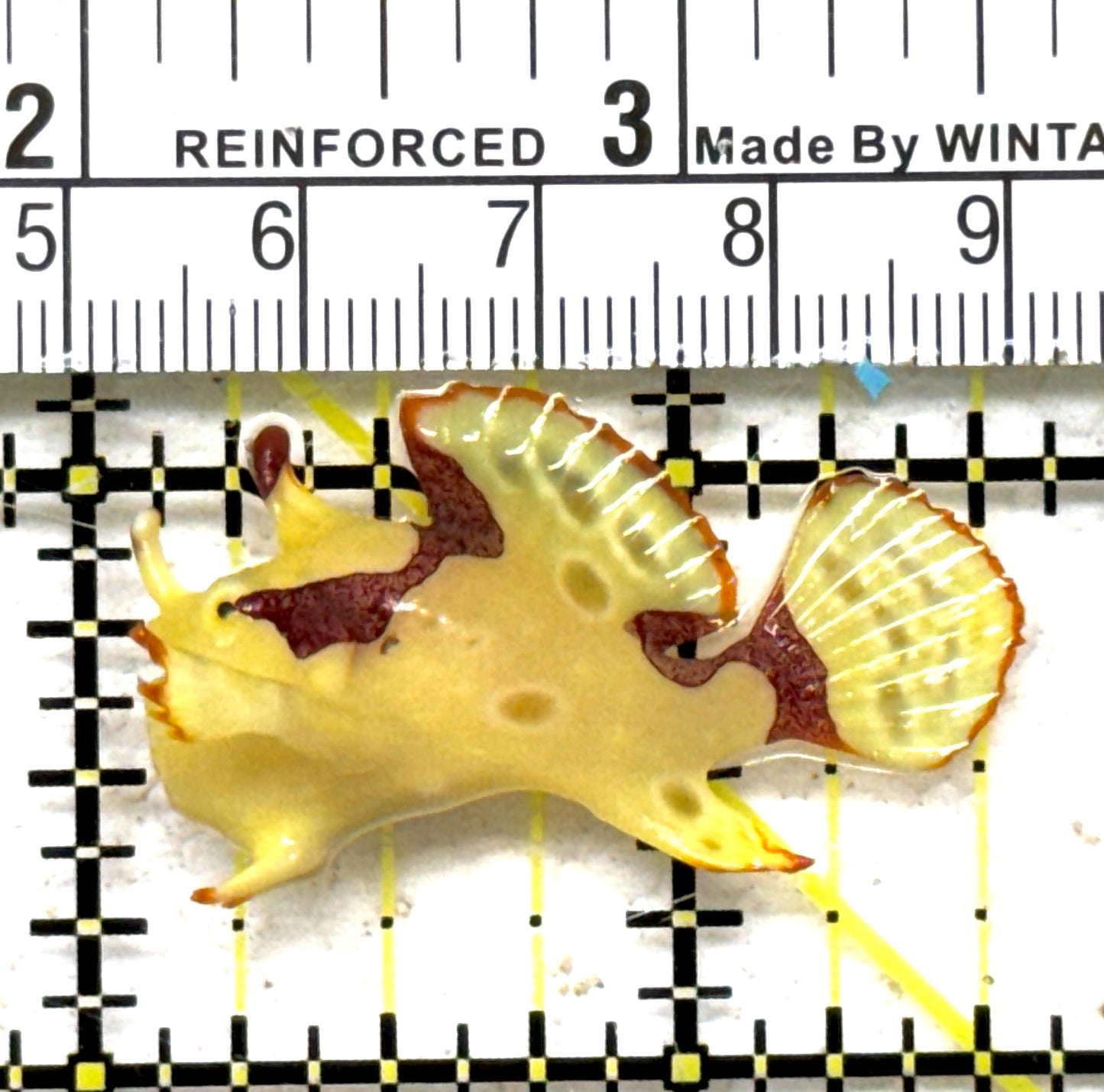 Yellow Pink Warty Angler YPWA090302 WYSIWYG Size: S 1.5" approx