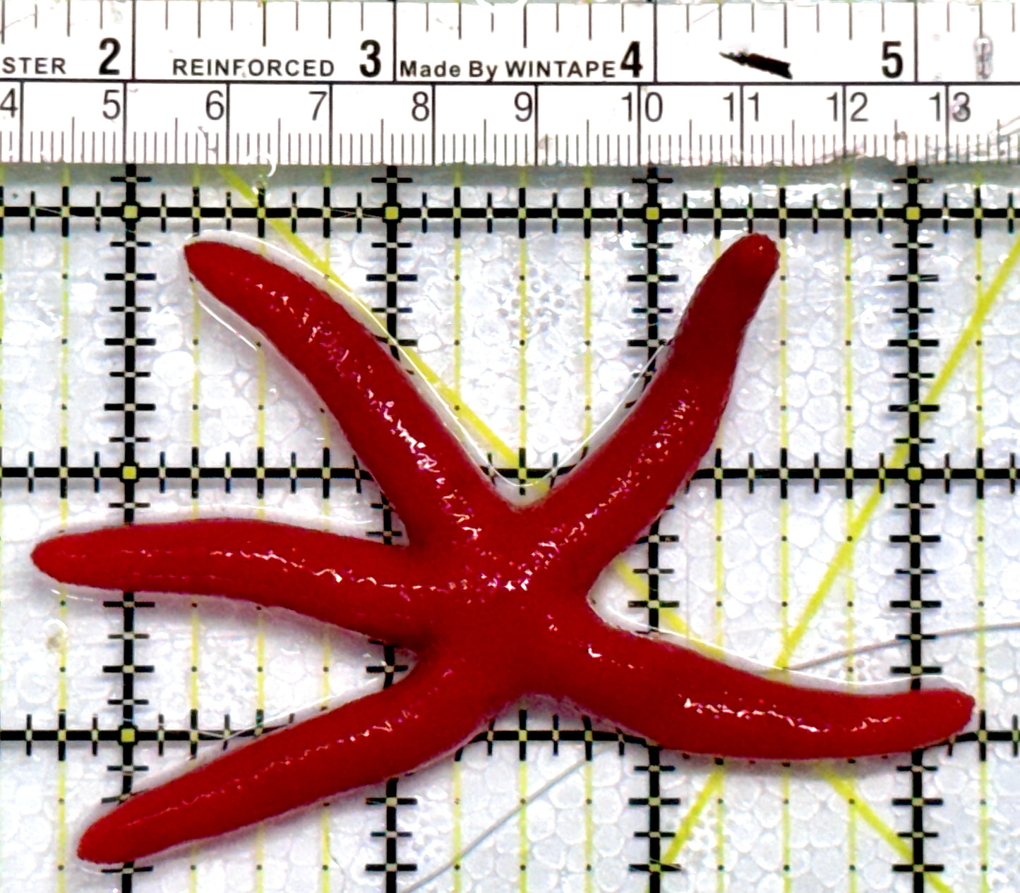 Red Orange Linckia Starfish A grade (Maldives) ROLS101101 WYSIWYG Size: Large 4.25"