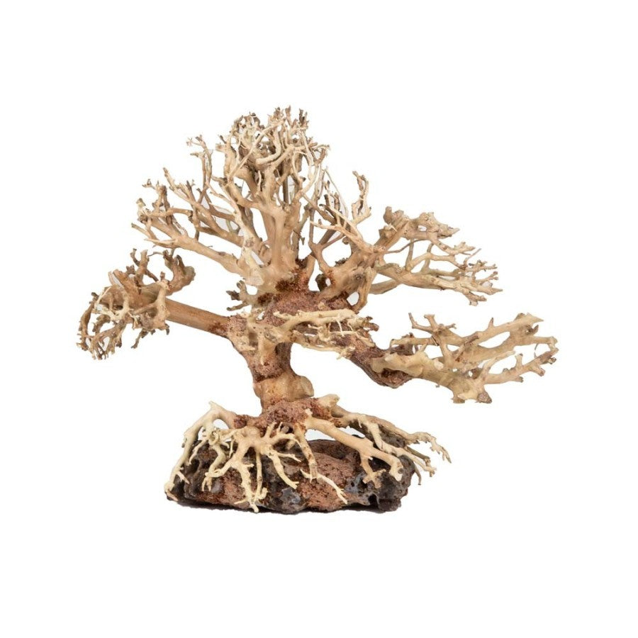 Zoo Med Dragon Bonsai Tree Aquatic Ornament Size: S 8"x 5"x 5" (20151)