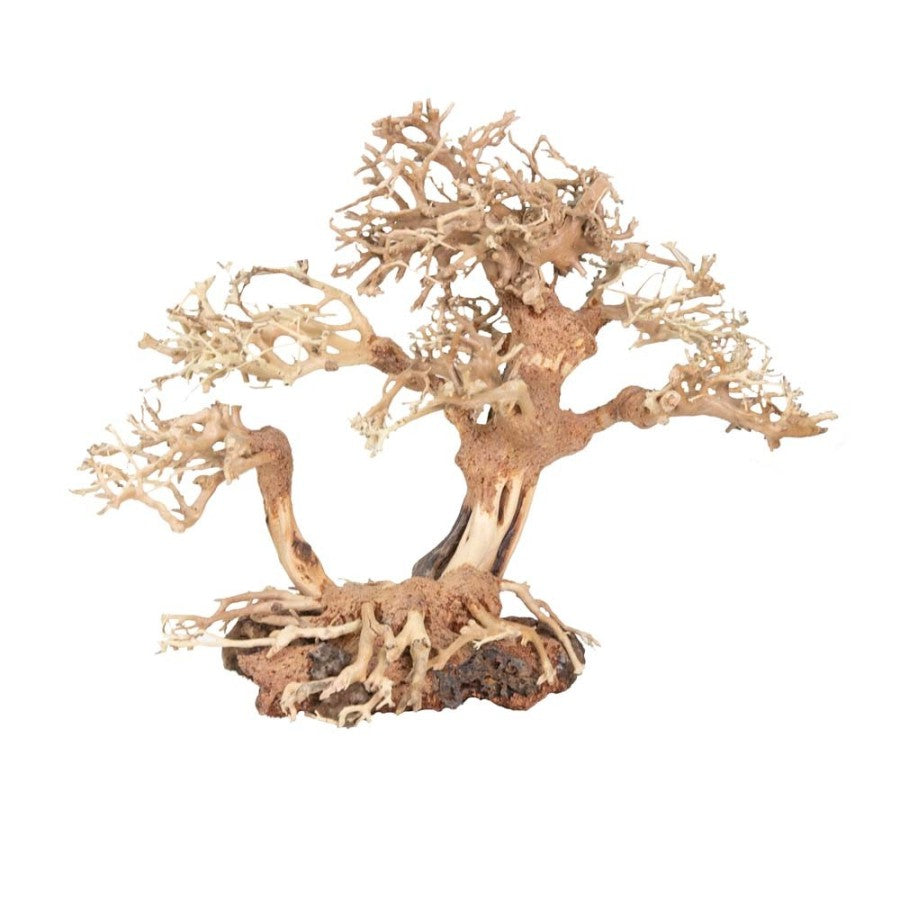 Zoo Med Dragon Bonsai Tree Aquatic Ornament Size: M 8"x 5"x 5" (20152)