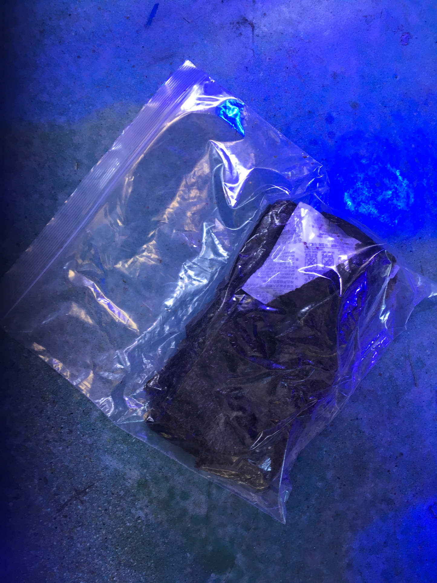 Seaweed Packet - Violet Sea Fish and Coral