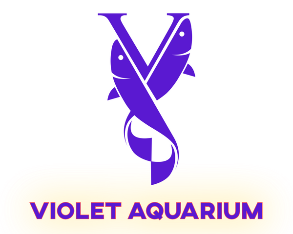 Violet Aquarium 