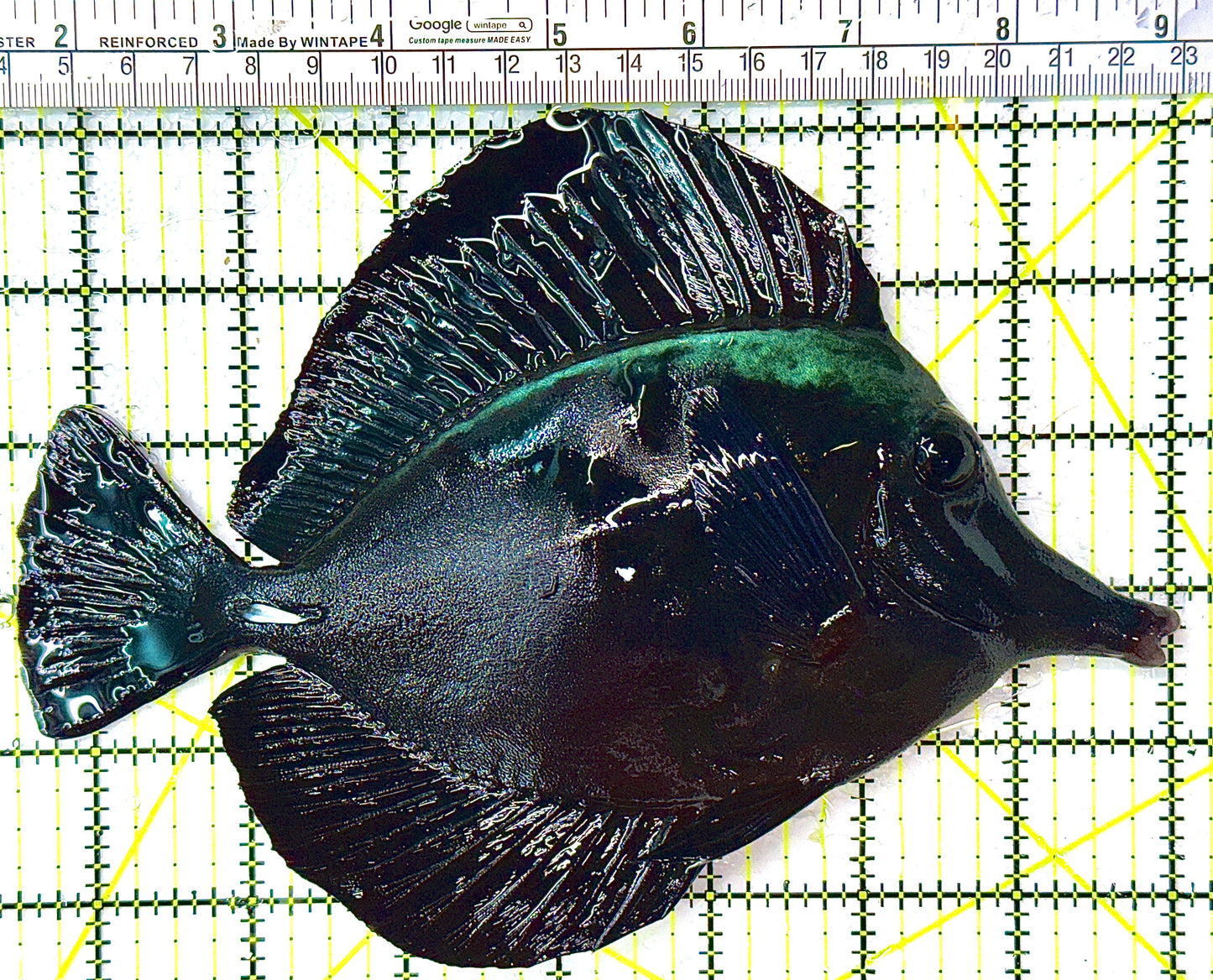 Black Tang BT110701 WYSIWYG Size: XXL/SHOW 8.5”