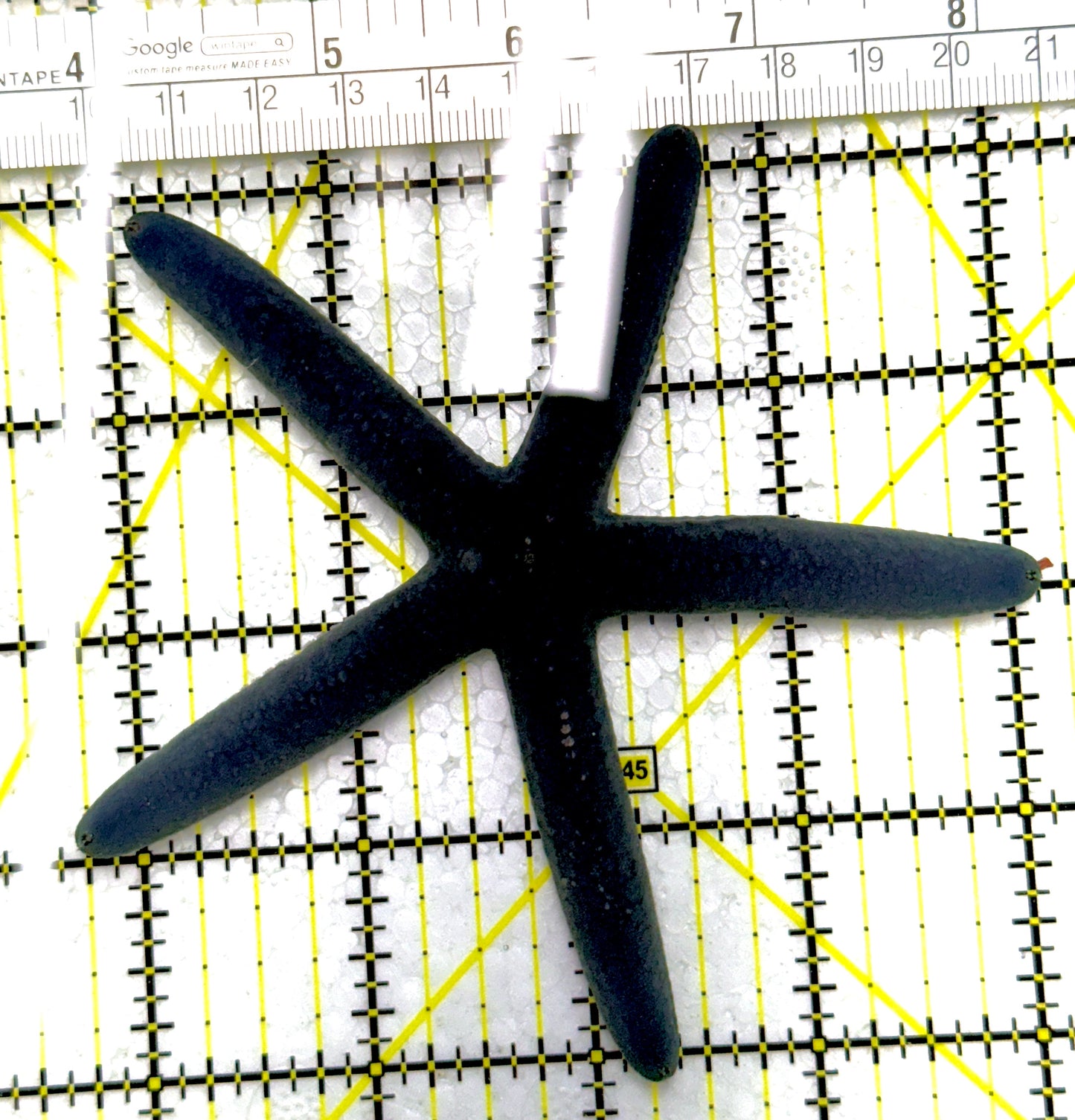 Blue Linckia Starfish BLS111902 WYSIWYG Size: 4.25"