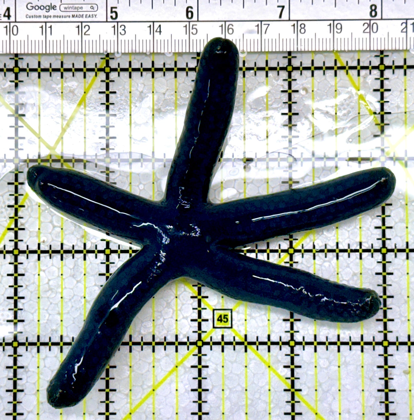 Blue Linckia Starfish BLS122902 WYSIWYG Size : M 4"