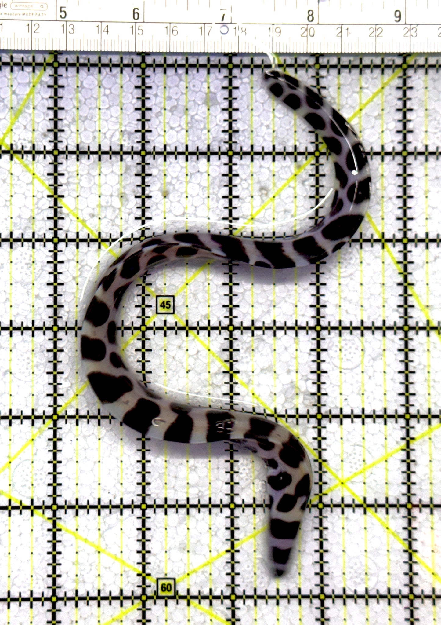 Tessellata Eel TE122301 WYSIWYG Size: Tiny 8" and Below