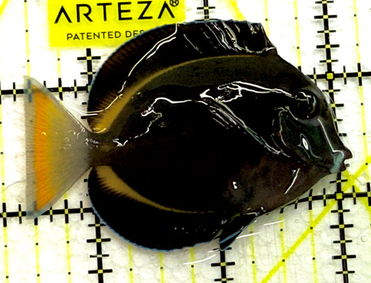Hybrid Achilles HA052105 WYSIWYG Size: M 2.5" approx