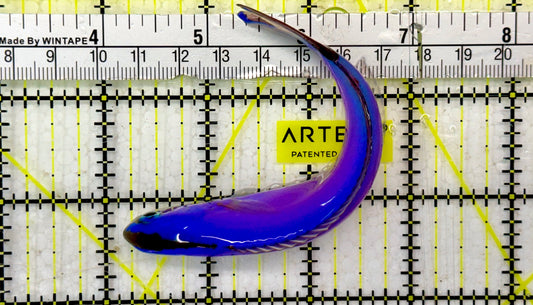 Purple Tilefish PTF051301 WYSIWYG Size: XL 5"