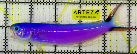 Purple Tilefish PTF051303 WYSIWYG Size: XL 5"
