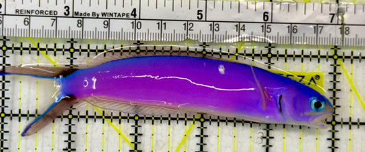Purple Tilefish PTF051306 WYSIWYG Size: XL 5"