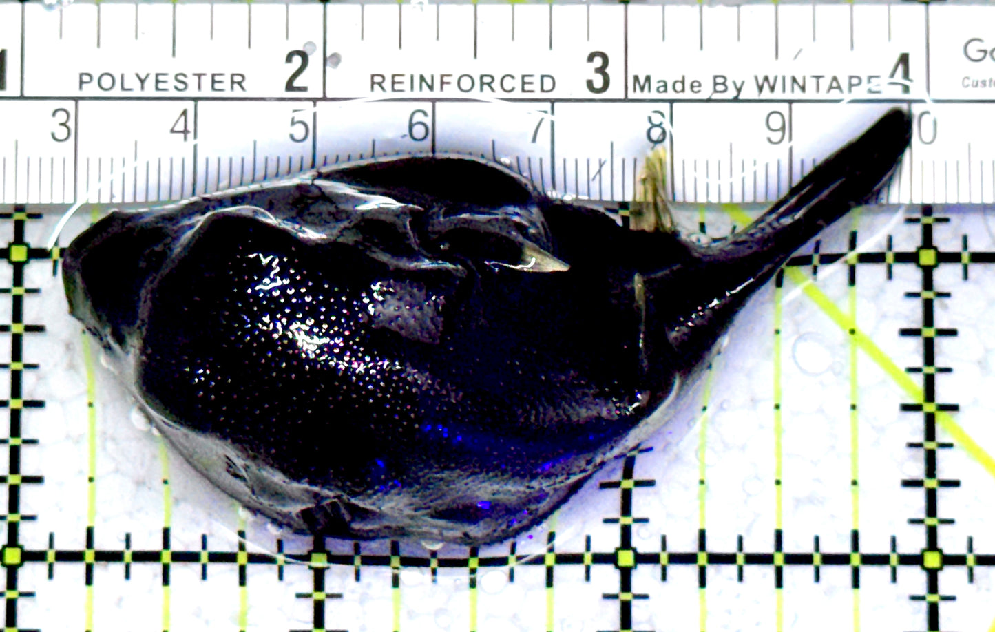 Dogface PufferFish DF052301 WYSIWYG Size: M 3"