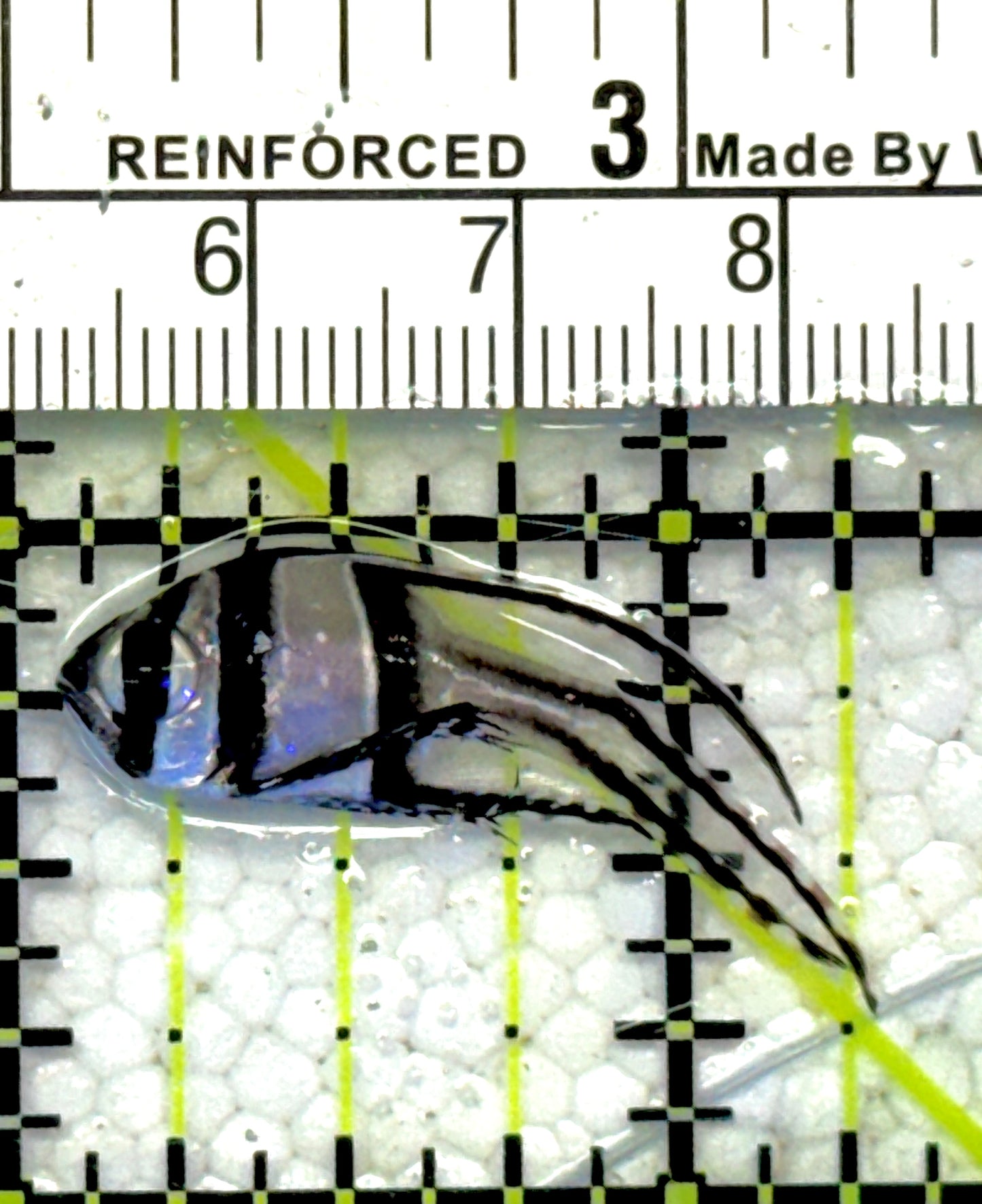 Banggai Cardinal Fish BCF061302 WYSIWYG Size: Tiny 1.5"