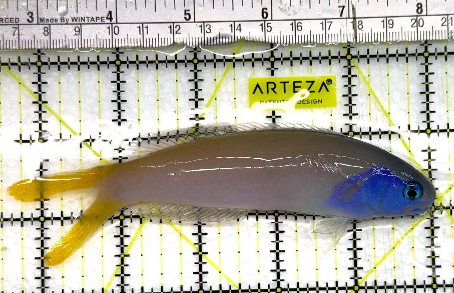 Blueface Tilefish BT082601 WYSIWYG Size: XL 5.5" approx