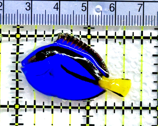 Blue Hippo Tang BHT091301 WYSIWYG Size: S 1.5" approx