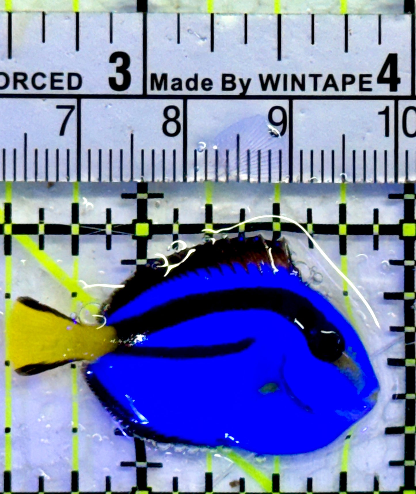 Blue Hippo Tang BHT071402 WYSIWYG Size: Tiny 1.5"