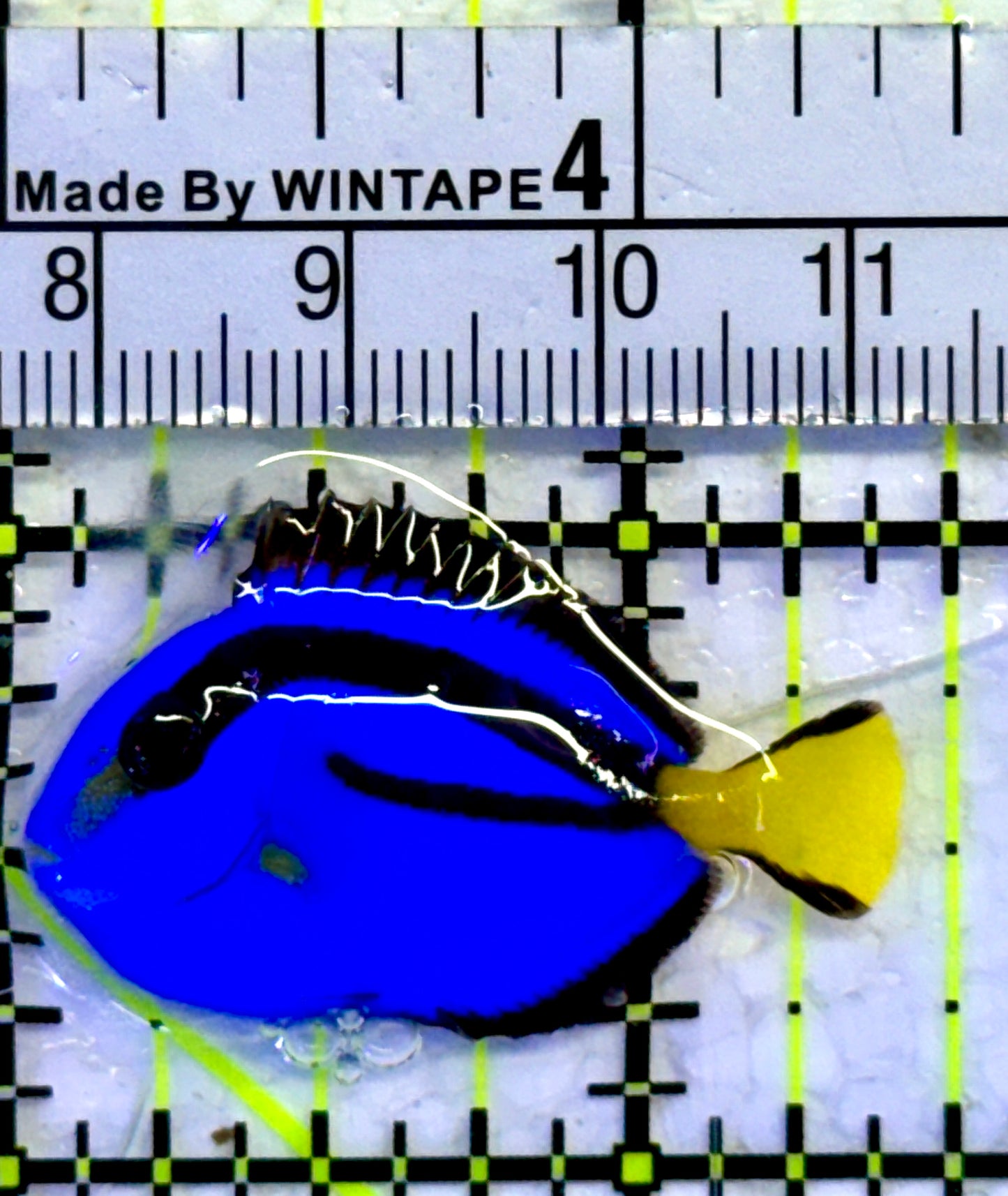 Blue Hippo Tang BHT071402 WYSIWYG Size: Tiny 1.5"