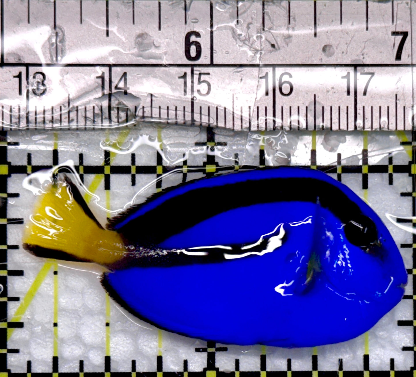 Blue Hippo Tang BHT100501 WYSIWYG Size: S 2"