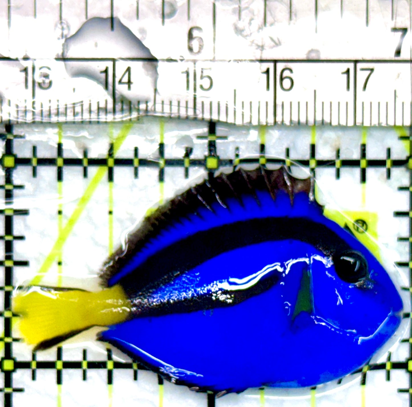 Blue Hippo Tang BHT100503 WYSIWYG Size: S 2"