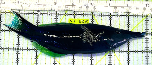 Green Bird Wrasse GBW062404 WYSIWYG Size: XXL/SHOW 8" approx