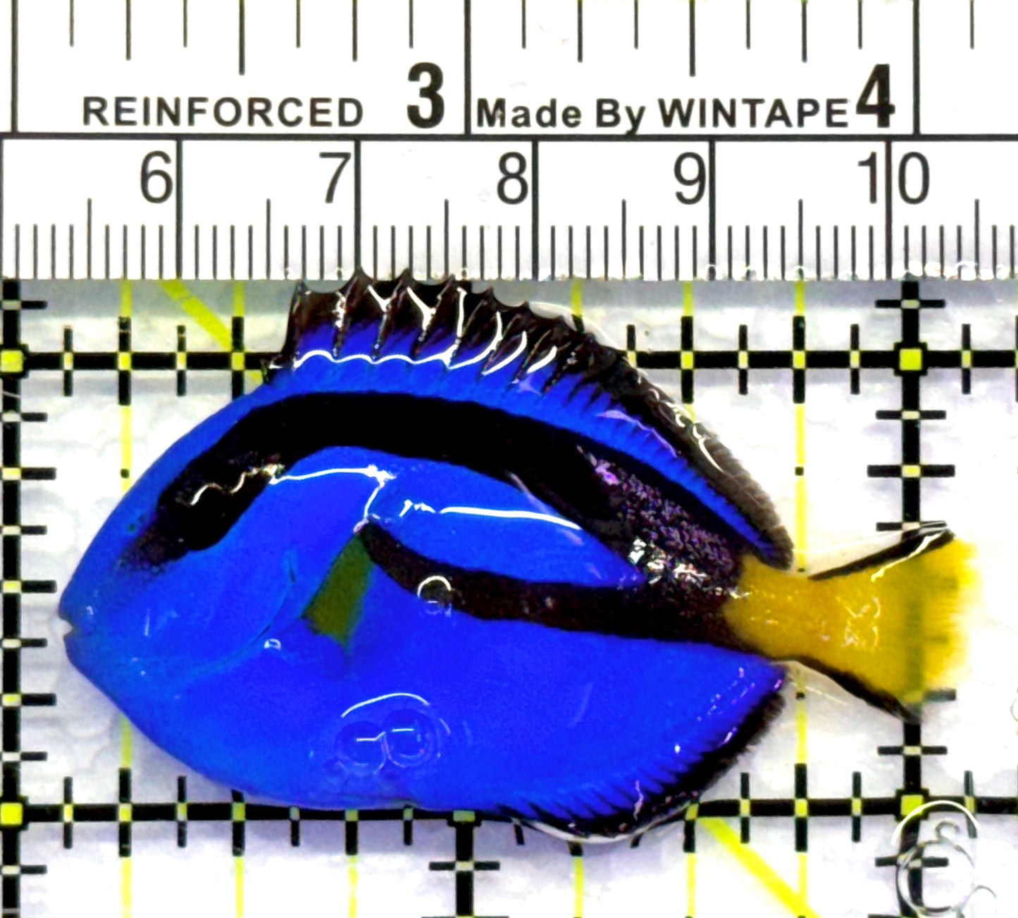 Blue Hippo Tang BHT083101 WYSIWYG Size: S 2" approx