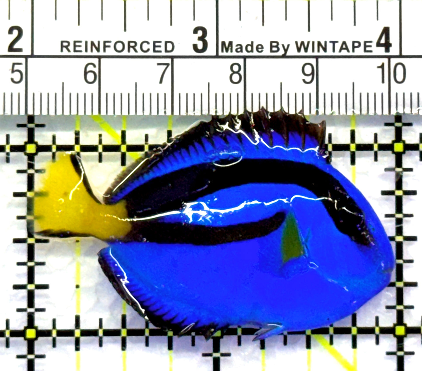 Blue Hippo Tang BHT083101 WYSIWYG Size: S 2" approx