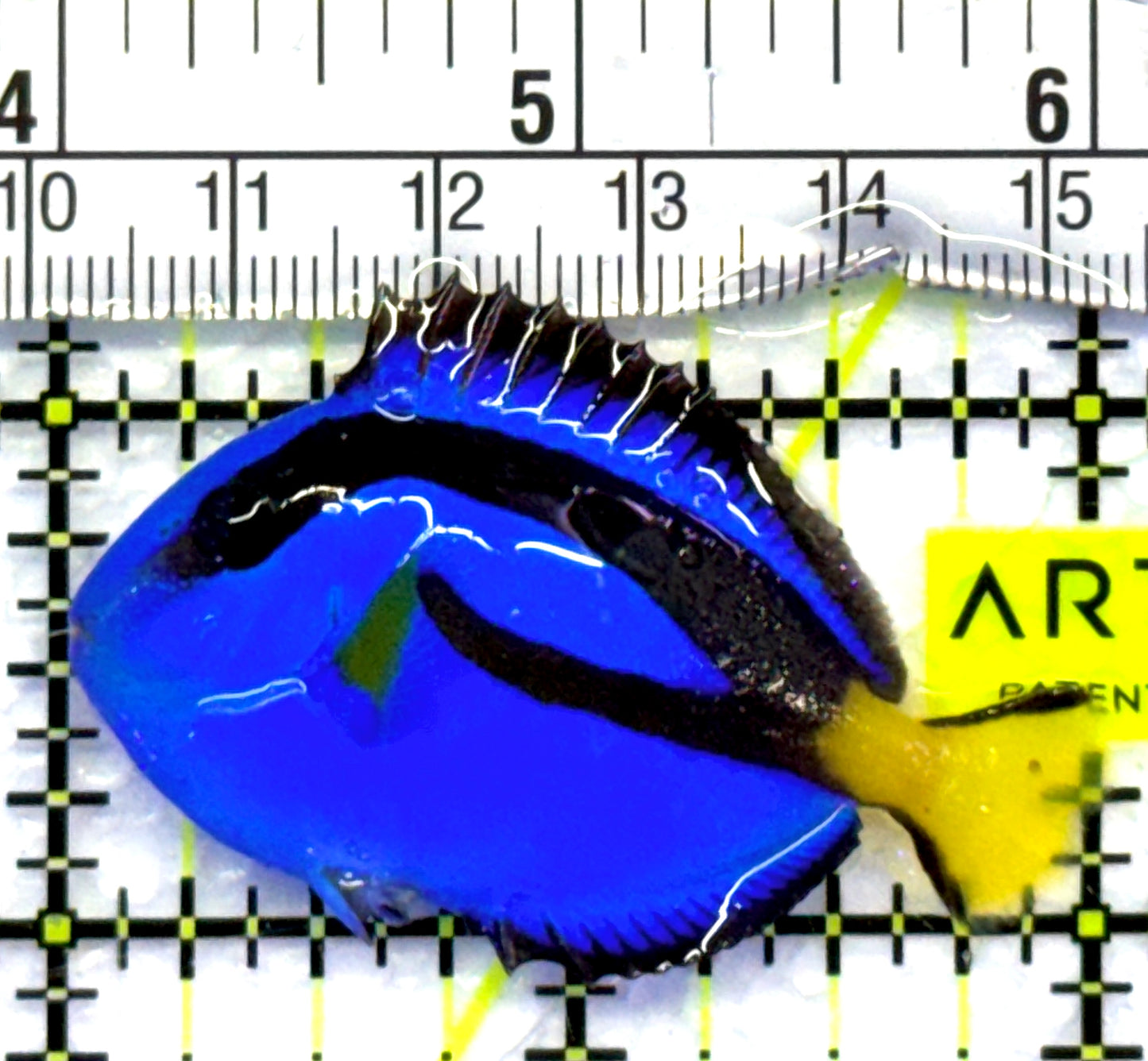 Blue Hippo Tang BHT083102 WYSIWYG Size: S 2" approx