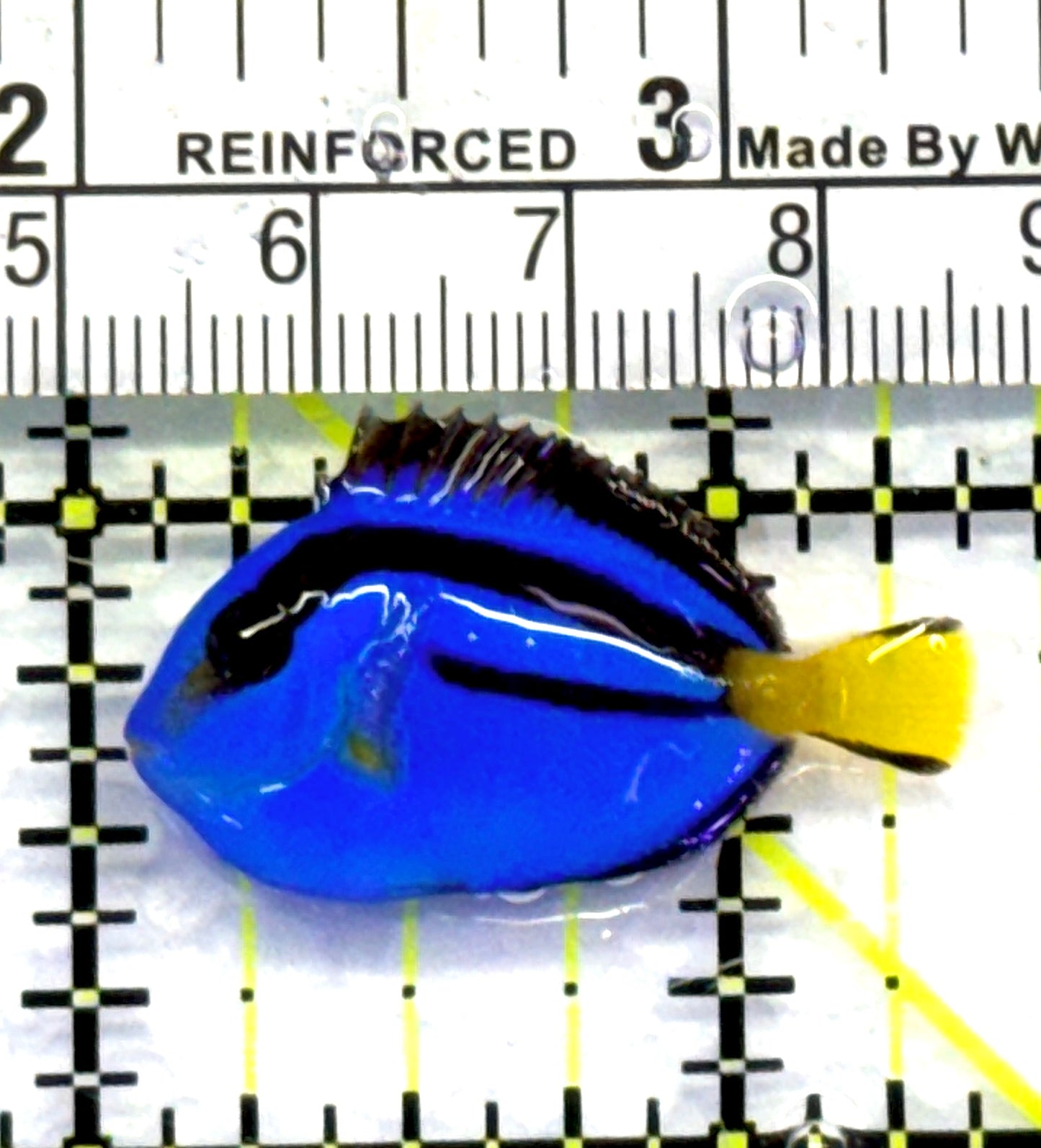 Blue Hippo Tang BHT083103 WYSIWYG Size: Tiny 1.25" approx