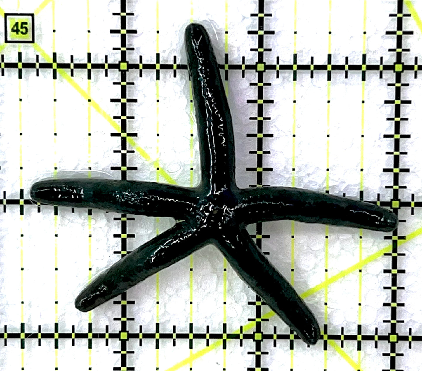 Blue Linckia Starfish BLS071501 WYSIWYG Size: L 2.75" approx