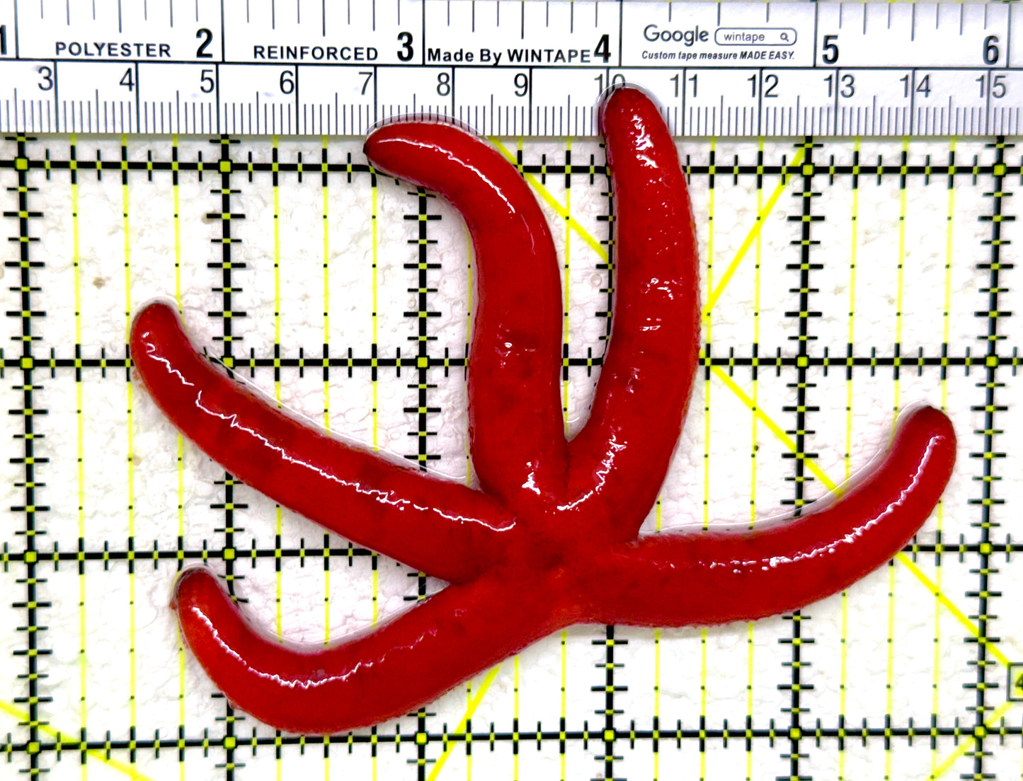 Red Orange Linckia Starfish A grade (Maldives) ROLS110101 WYSIWYG Size: L 5"