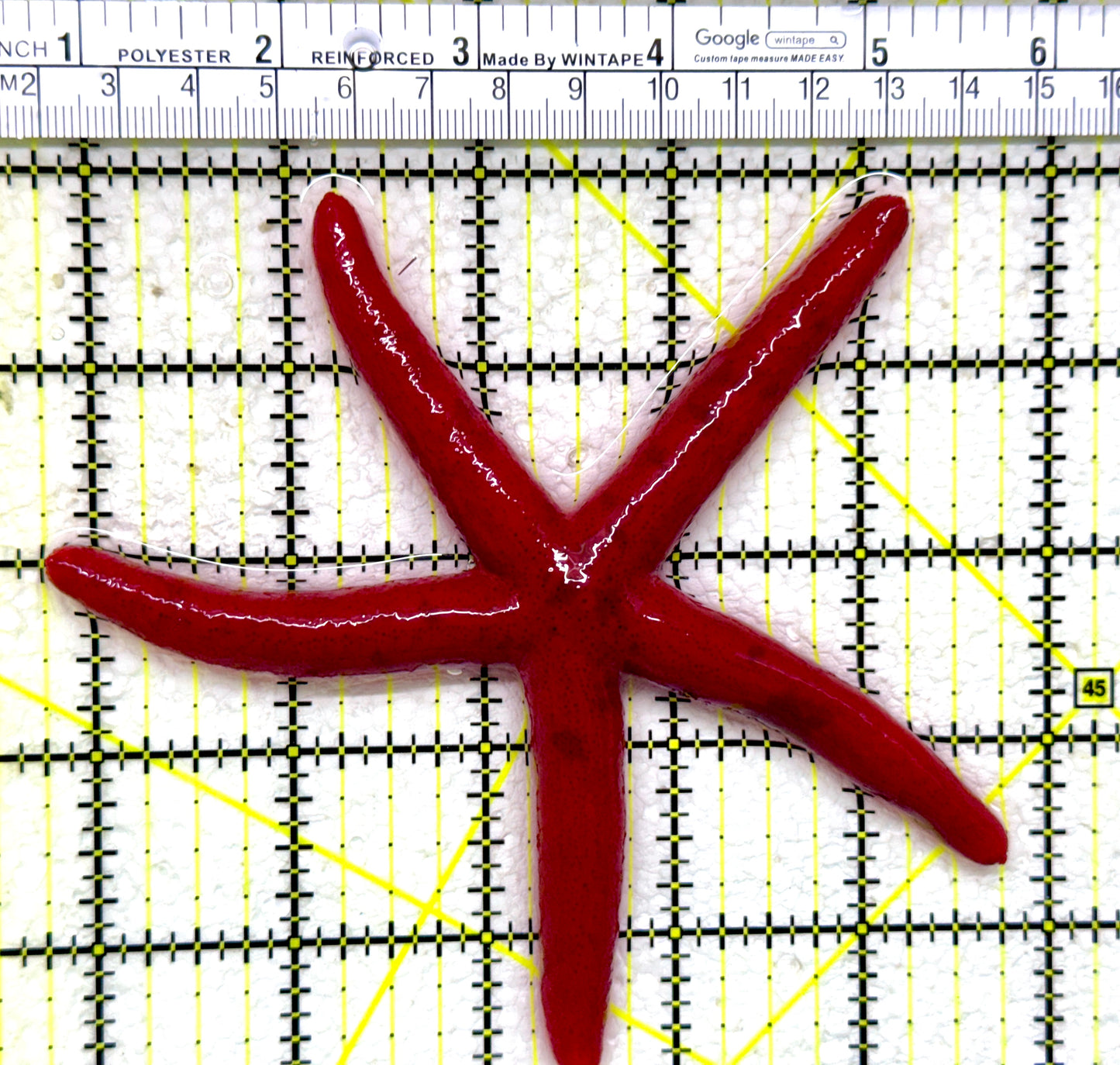 Red Orange Linckia Starfish A grade (Maldives) ROLS110103 WYSIWYG Size: L 5"