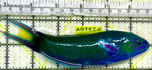 Lunare Wrasse LW092103 WYSIWYG Size: XXL 6.25"