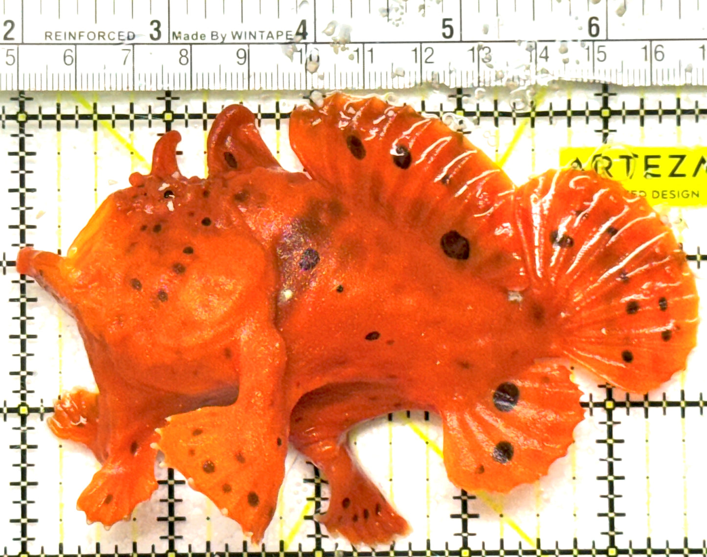 Red Warty Angler RWA092601 WYSIWYG Size: XL 4.5" approx