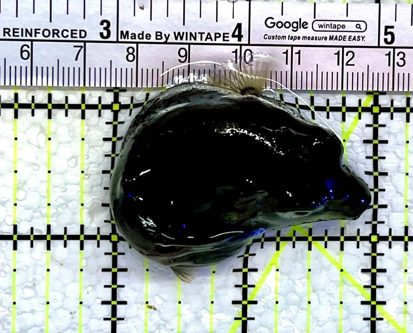 Dogface PufferFish DP112302 WYSIWYG Size: M 4"