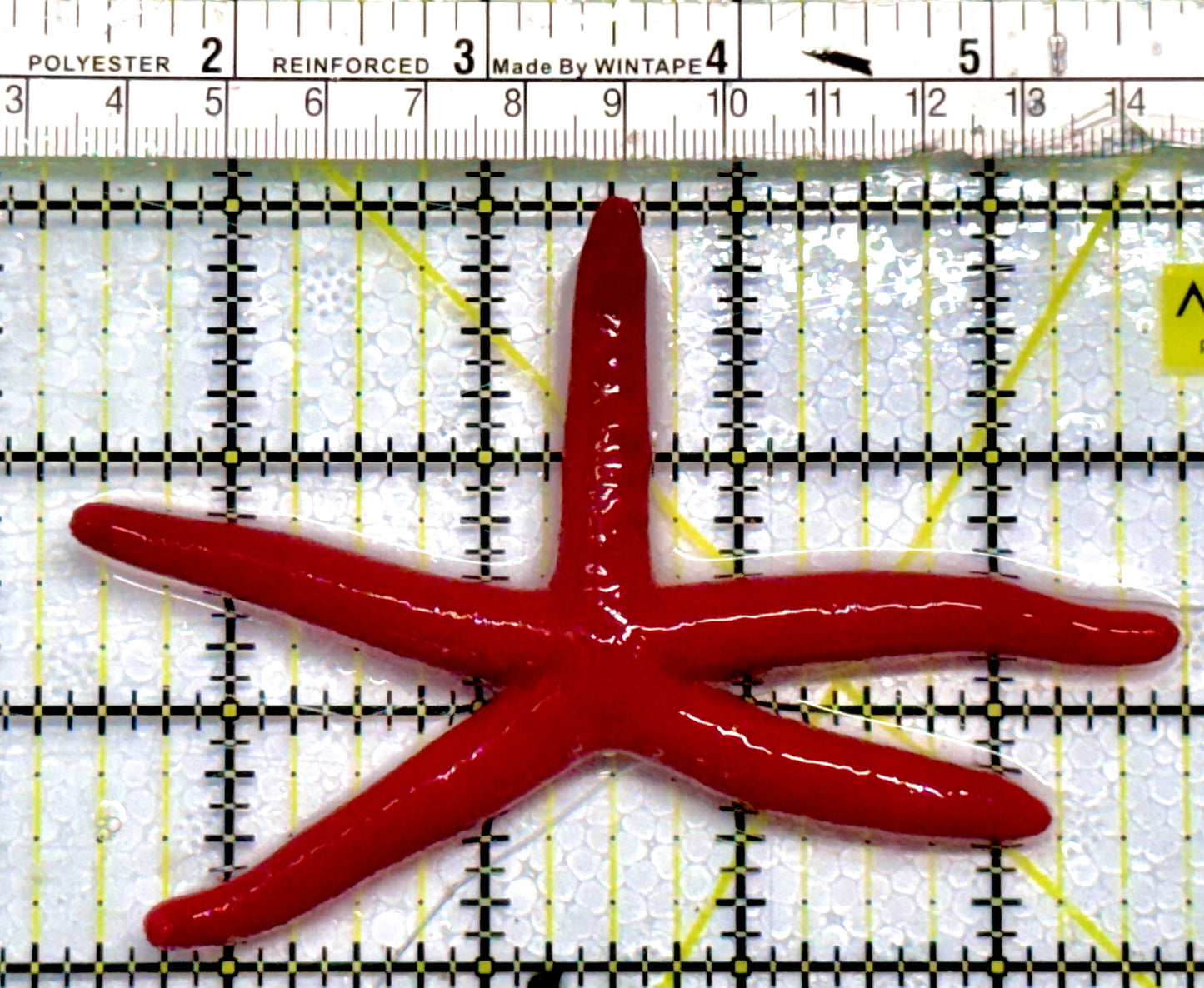 Red Orange Linckia Starfish A grade (Maldives) ROLS101101 WYSIWYG Size: Large 4.25"