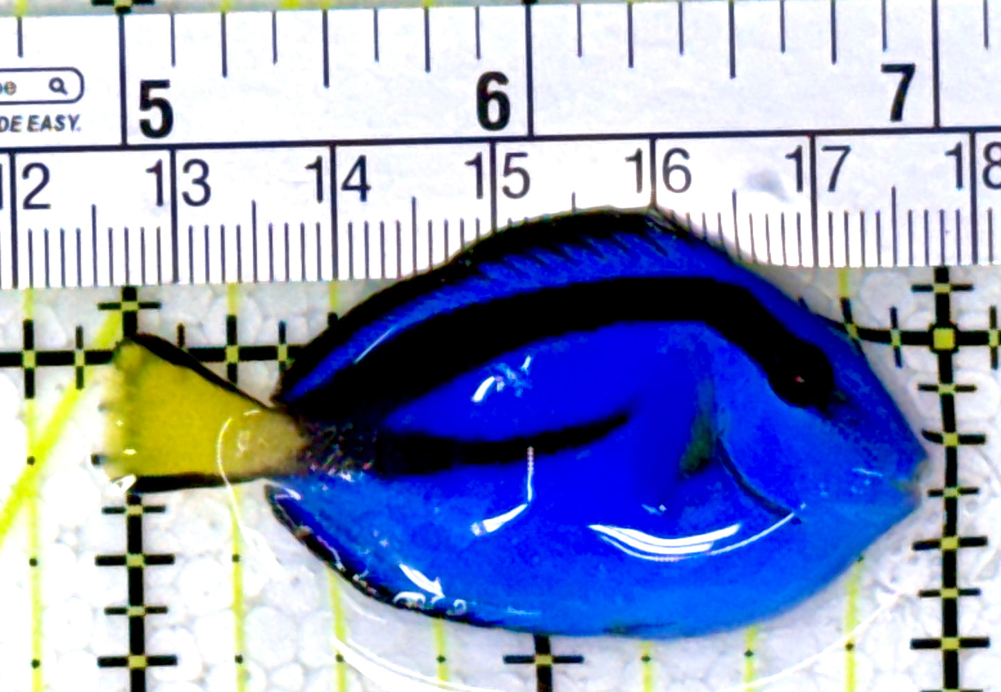 Blue Hippo Tang BHT111804 WYSIWYG Size: S 2" approx