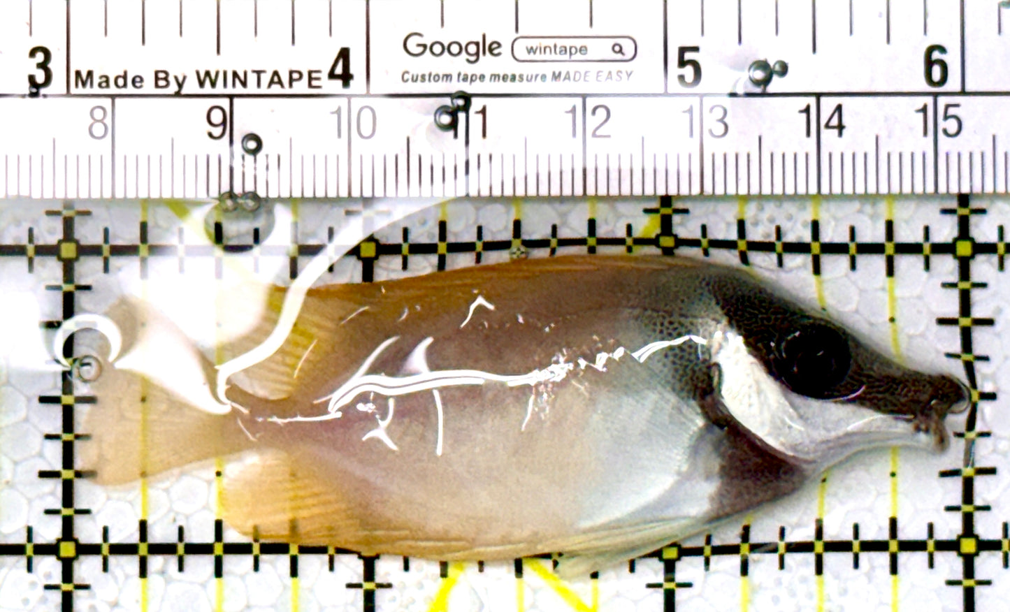 Onespot Foxface OF111901 WYSIWYG Size: M 3" approx